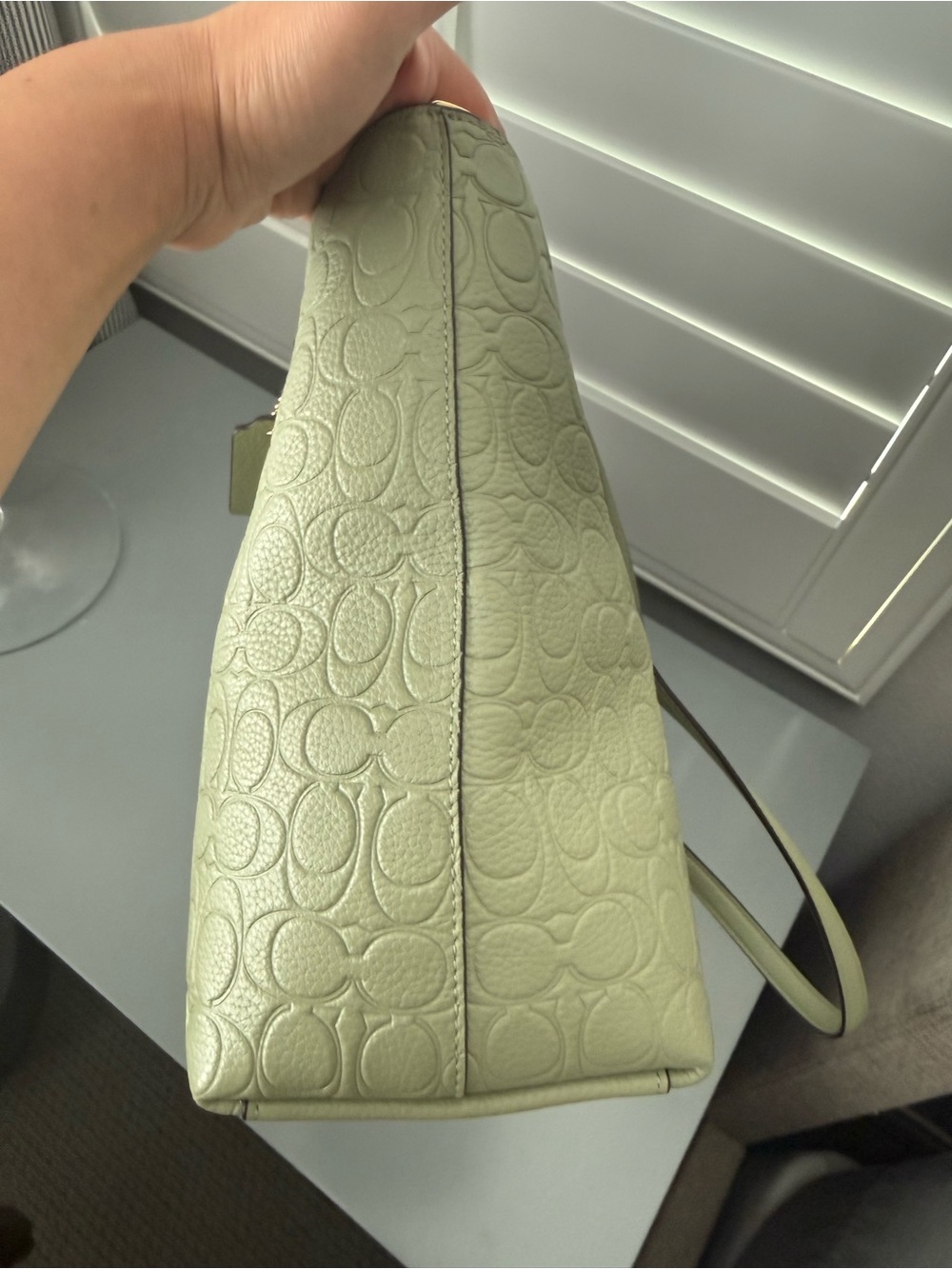 COACH OUTLET embossed leather Station Tote in Pistachio - Picture 12 of 12